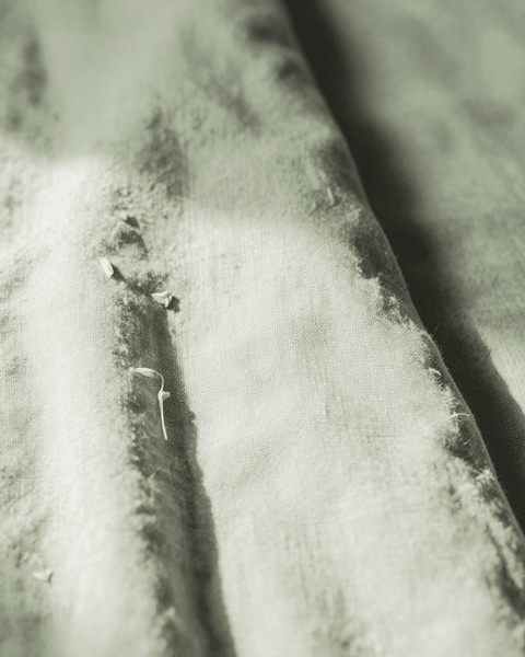 The Morning Linen — Sage fabric swatch