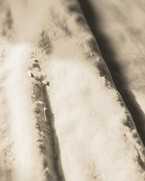 The Morning Linen — Sand fabric swatch