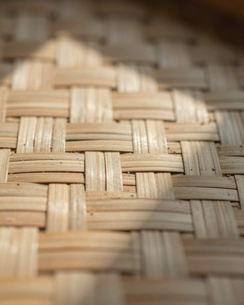 reed grass — fabric detail