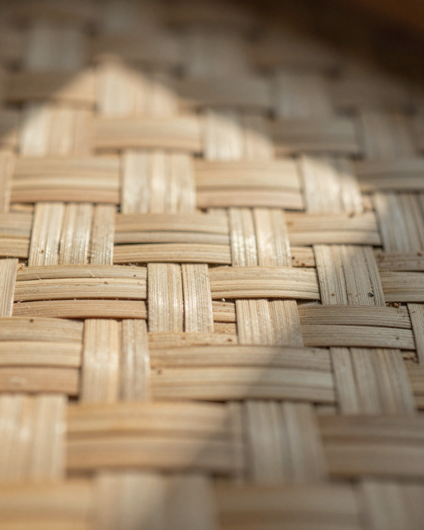 reed grass — fabric detail